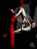Cirque avec Tissu, trapèze, sangles