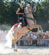 Spectacle de cheval